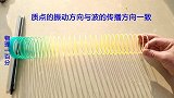 波：分为两种！这是什么波此物理实验一清二楚！