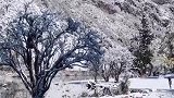 带她一起来看雪，答应陪你一起看雪的人今年还在你身边吗