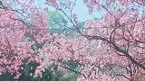 光线太强了，效果不好