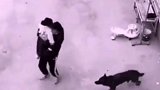 网友：狗子拼命攻击人贩子，可是如果人贩子还偷狗就可怕了 忠犬