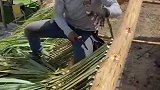 这房子以后咋住人啊