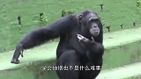 鸟儿接过男子手中的香烟，自己抽了起来，说好的不许成精呢