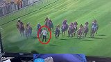 新西兰：一男子闯入跑道阻拦赛马，骑师及时避开免酿大祸