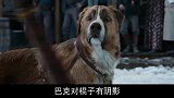 宠物狗被拐到原始森林，逆袭成狼王，一部催泪的冒险片