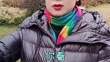 男人结婚前和结婚后的区别，句句扎心！媛凤凤姐 夫妻日常