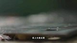 沸腾吧火锅：尖刀圆子加入鸡蛋，能得到更好的效果