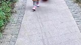 女子天天往家拖战利品，还扬言今年不打架了明年再打