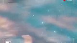 主人：你不要过来啊