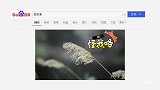 二更视频-20170214-你们尽管秀，我要是有一丁点儿嫉妒算我输