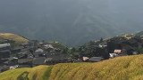 不用滤镜的风景。要去赶紧，10月20收割。