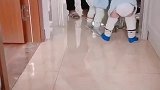 双胞胎兄弟的故事，哥俩打包好行李，准备离家出走了