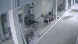 重庆渝北：男子上厕所被烈犬袭击 马场：教练养的跟我们无关