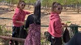 天津动物园一女子带娃私翻护栏投喂斑马  游客劝阻反遭怒怼