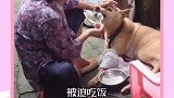 狗子：我承受了这个物种不该承受的