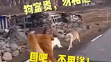 大哥进城打拼，一众兄弟相送