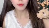 沙皮狗慕斯