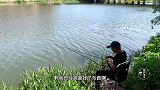 学习邓老师钓鲢鳙，饵料用了两盆抽的手都发酸，结果你猜怎么样？