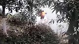 女子想喝奶茶被拒后一时想不开要跳河轻生 民警雨雪天跳水救人