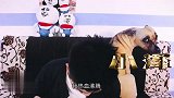 我被欺负了，找来了自己打哥，结果还是被打了