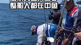 达尔文鱼太多，钓到不想钓了