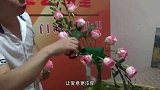 用这4种植物可以增进感情，你们家里养了吗