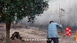 千年古寺意外发现有地宫，发掘一水晶瓶，里面200颗东西太珍贵