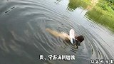 你这是学游泳啊，我还以为你学蛆呢