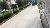 趁金毛不注意故意躲到后面，结果它连最爱的瓶子都不要了就来找我