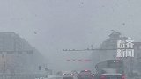 齐齐哈尔四月降雪 仿佛天降雪白棉花