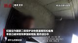 男子猪圈养2只国家二级保护动物：喂起耍