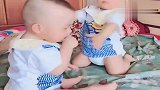 双胞胎的相爱相杀，大宝为抢奶嘴也是不择手段啊，二宝好可怜！