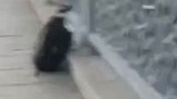 江苏太仓：女子跳桥欲轻生初二女生暖心救下