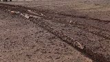 一顿操作猛如虎
