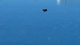 2011年10月近距离实拍夏威夷悬浮在海面上空超清晰的UFO