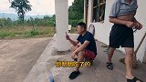 超小厨岳父家种树摘辣椒，晚饭“排骨烧鸡公”老爸要求再吃一顿