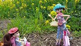 芭比娃娃玩具故事：小姨带着小七骑自行车去户外春游采摘油菜花