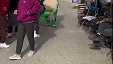 这青蛙还很有能耐