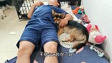 男子天天搂着狗狗睡觉,旁边的女主吃醋却被无视！网友：心疼女主