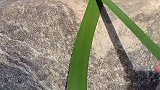 这嘴真厉害