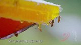 新鲜采的土蜂蜜，做个简单的蜂蜜土豆糍粑，孩子吃得停不下来！