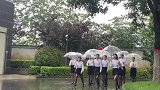 你们少爷蹲在垃圾箱后面在呢，这么多双眼睛，就没一个眼神好点的吗