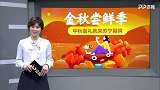 2019/2020英超联赛第3轮全场录播：诺维奇VS切尔西（娄一晨 李彦 肖彬）