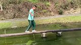 学生挑战平衡木，在一声平衡木之神中迷失自我