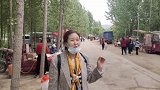 一个宁静的小山村，因为拉面哥拉面走红，天天跟集市一样人来人往