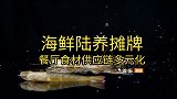 日本核污水排海，海鲜挪到内陆养？预估市场规模超八千亿元！