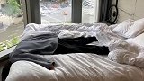 不好意思，第一眼把你看成了衣服，然后我居然怀疑自己见鬼了！