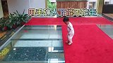 天不怕地不怕的熊孩子，不敢走透明玻璃，这小碎步太搞笑了！