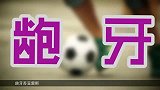 世界杯-14年-BIG博士世界杯装腔指南之其他球队-专题