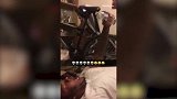 狗狗戴着一副小眼镜，站在桌子上看着四周，实在是太帅气了！