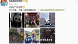 邹市明全家游成都，冉莹颖罕展素颜，与妆后美艳模样判若两人